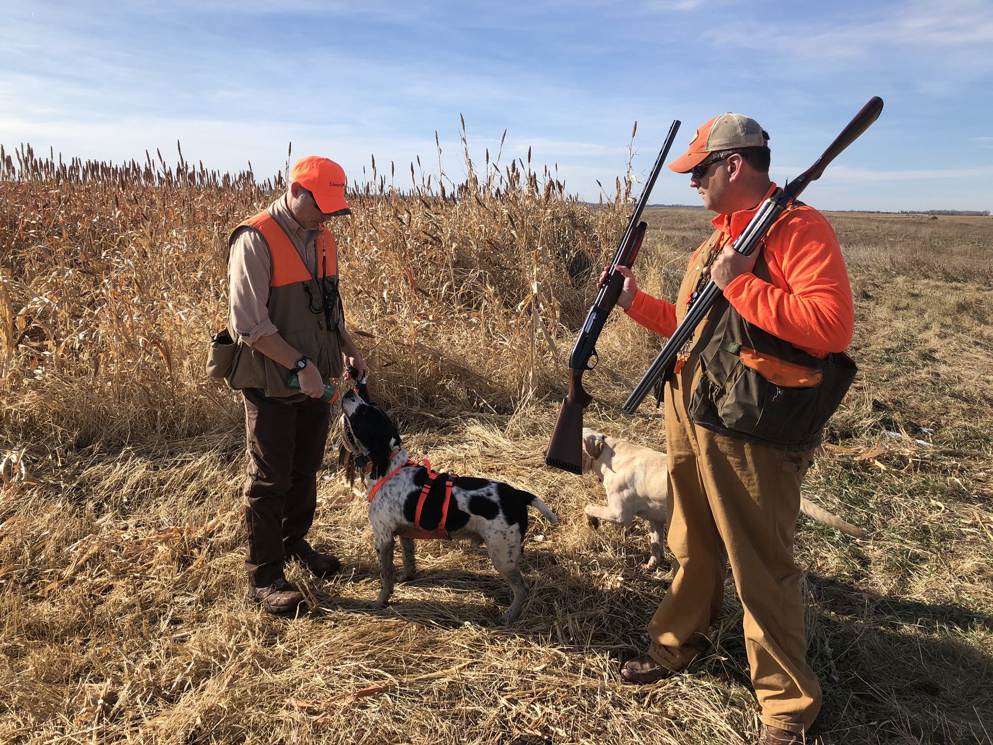 South Dakota’s 2024 Pheasant Season